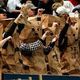 Illustration for article titled Super Bowl Subplot #6: The Aints Go Marching In